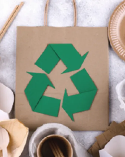 Packaging ecologico