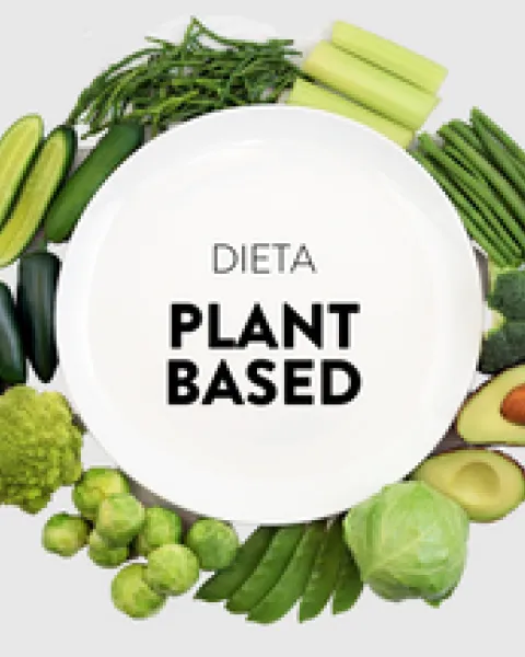 PLANT BASED