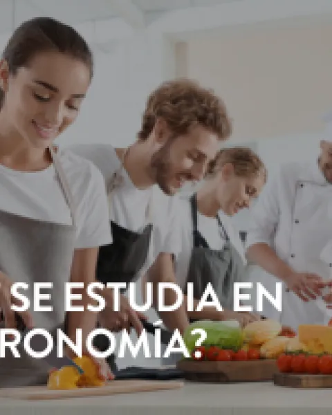 qué se_estudia_en_gastronomía.png (102.97 KB)