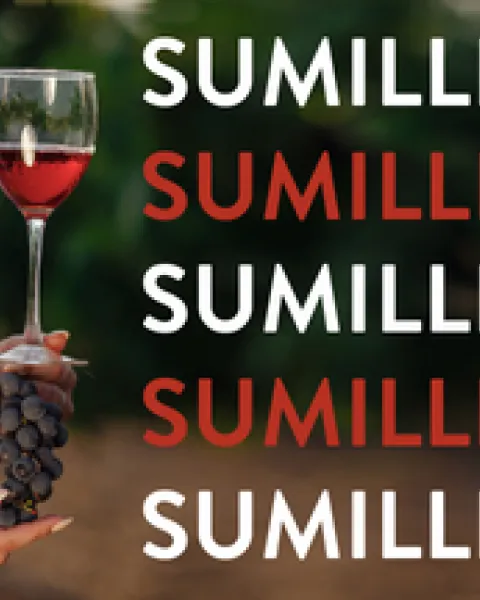 sumilleria-blog