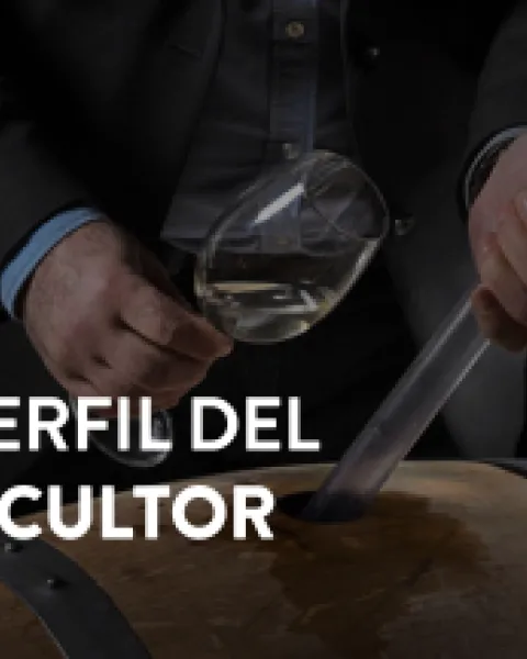 vinicultor 