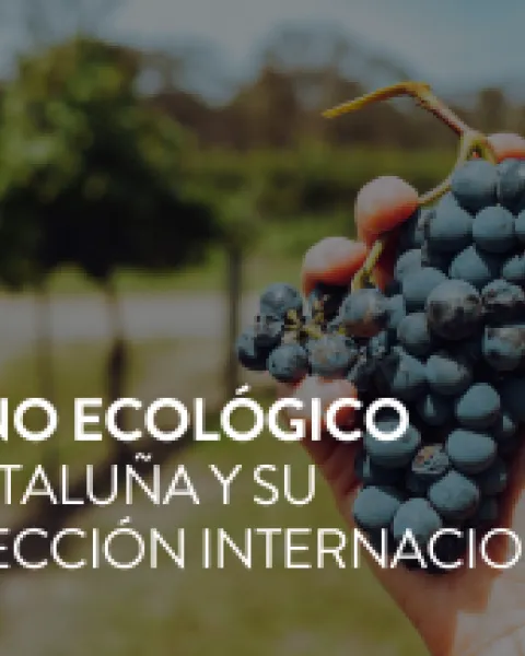 vino ecologico
