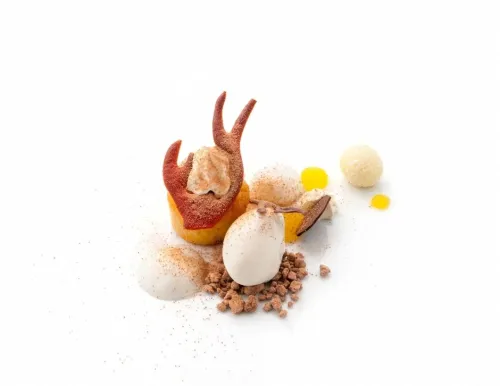 oferta gastronomica definicion oferta gastronomica